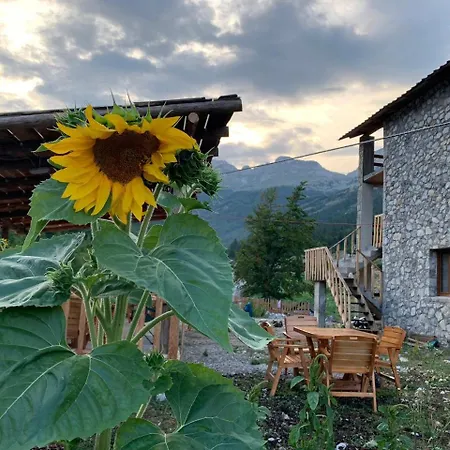 Montain Rosi Valbona