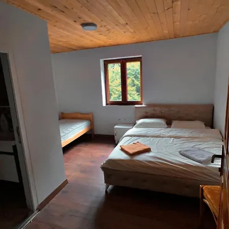 Casa de hóspedes Montain Rosi *